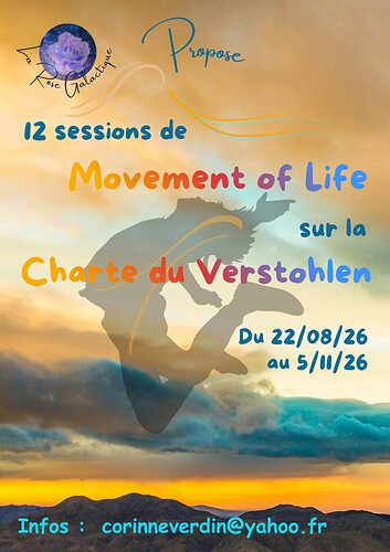 Flyer Verstohlen
